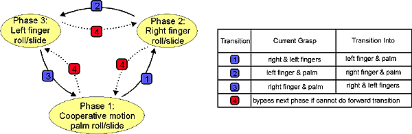 [Phases of the Exploratory Procedure]