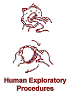 [Human Exploratory Procedures]