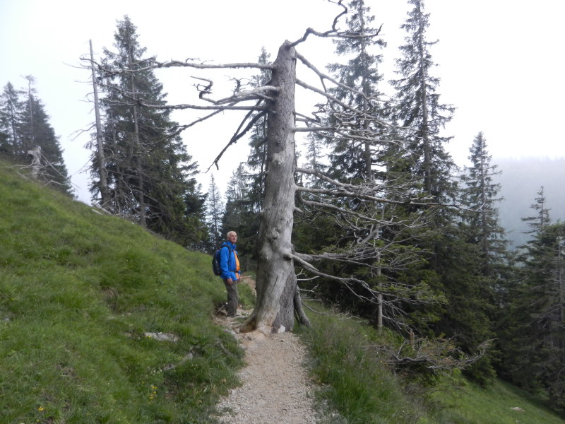 Scaled image DSCN4265.JPG 